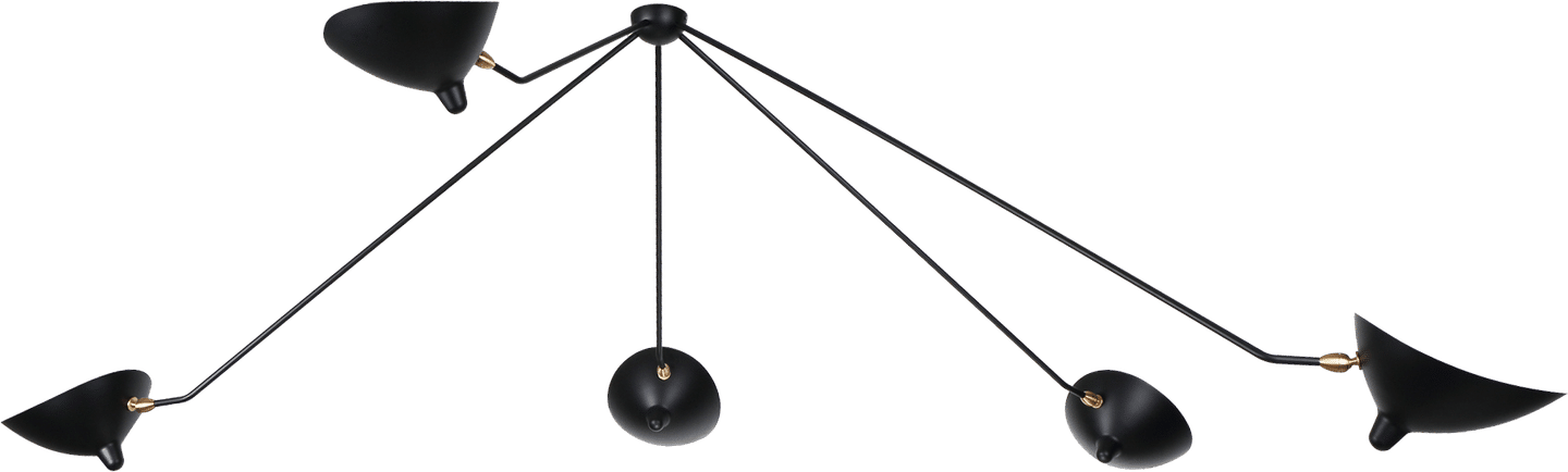 Lampada da soffitto Spider 5 Braccia ferme Black image.