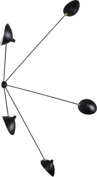 Spider Wall Lamp 5 Arms Black image.