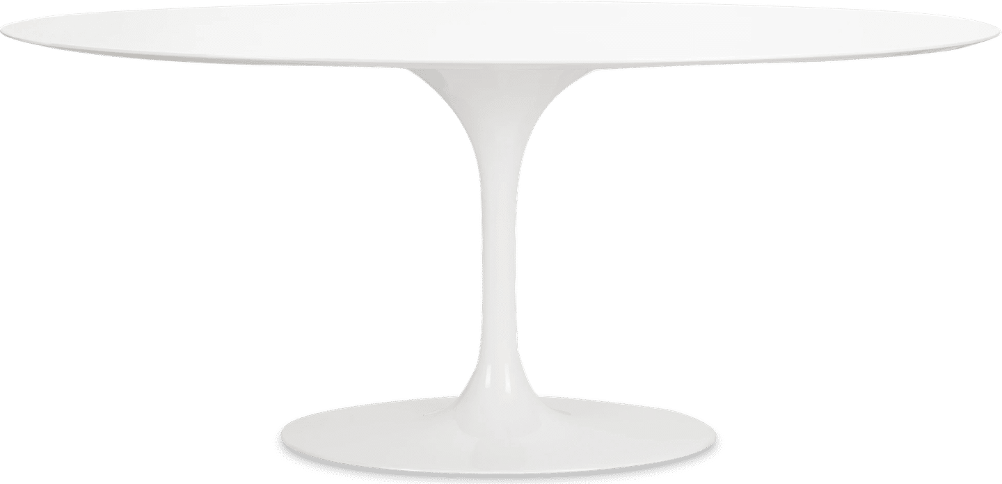 Table à manger ovale style tulipe Fibreglass/White image.