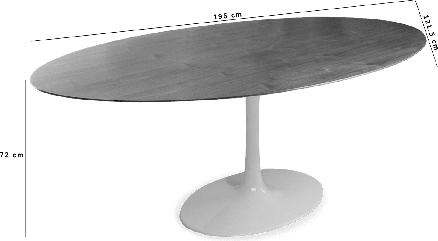 Table à manger ovale style tulipe Fibreglass/Black image.