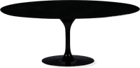 Tulip Style Oval Dining Table Fibreglass/Black image.
