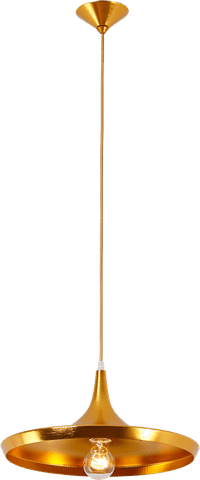 Beat Pendant Light - Wide Gold / Gold image.