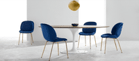Beetle Style Dining Chair - Full Upholstered Velvet Blue Velvet/Gold image.