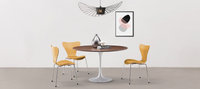 Series 7 Chair Plywood/Yellow image.