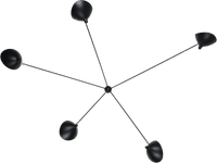 Spider Wall Lamp 5 Arms Black image.