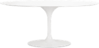 Tulip Style Oval Dining Table Fibreglass/White image.