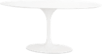 Tulip Style Oval Dining Table Fibreglass/White image.