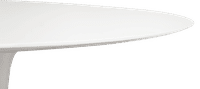 Tulip Style Oval Dining Table Fibreglass/White image.