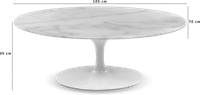 Tulip Oval Coffee Table - Marble Marble/White Quartz 120 image.