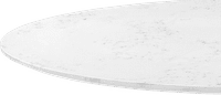 Tulip Oval Coffee Table - Marble Marble/White Quartz 120 image.