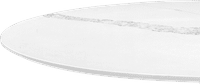 Tulip Oval Coffee Table - Marble Marble/White Quartz 160 image.