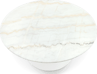 Tulip Round Coffee Table - Marble Marble/White Marble image.