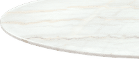 Tulip Round Coffee Table - Marble Marble/White Marble image.