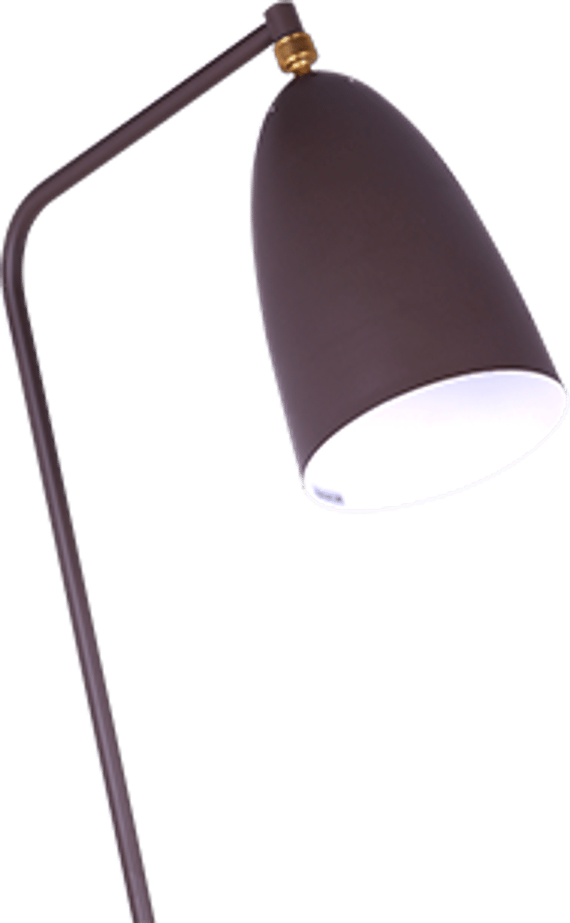 Grasshopper Style Floor Lamp
