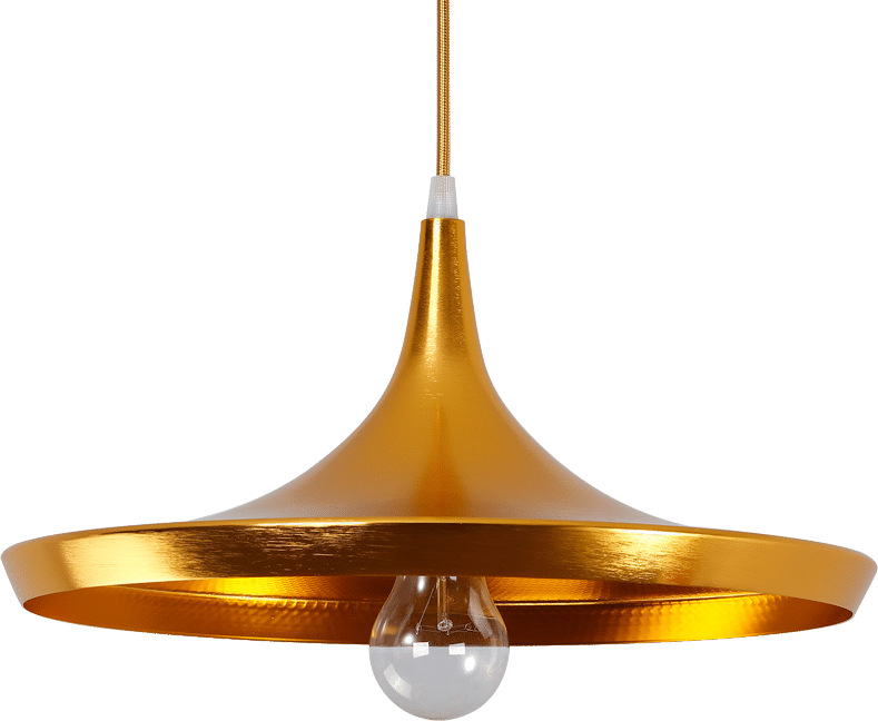 Beat Pendant Light - Wide Gold / Gold image.